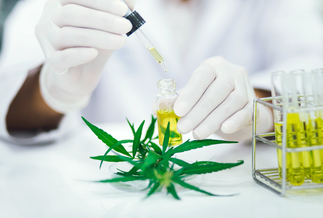 cannabis mixer compliance